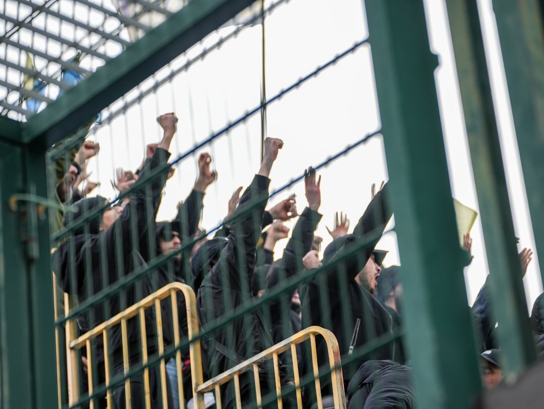 fans cheering stadium
