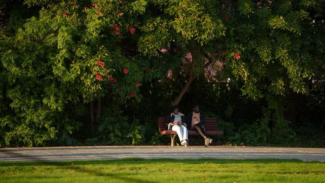 couple walking in park holding hands